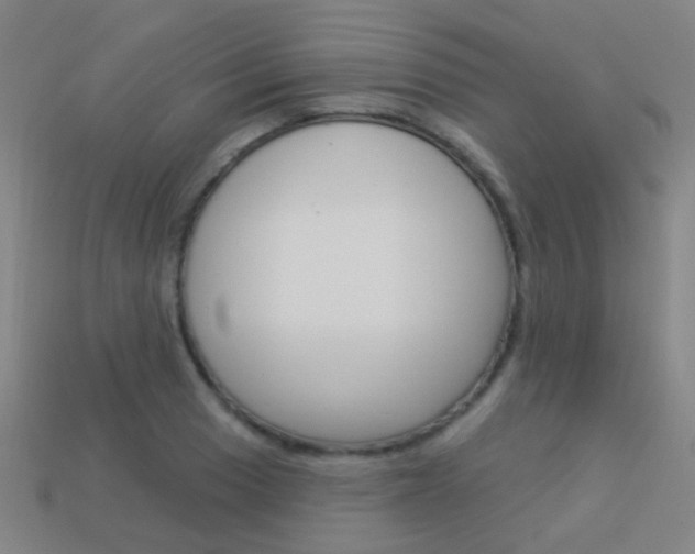 X0000114161033200910081129