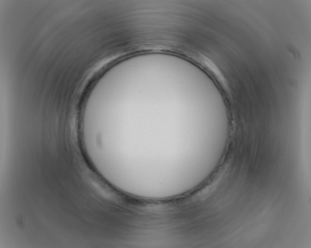 X0000114161035200910081129