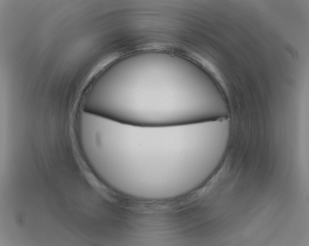 X0000114161042200910081129