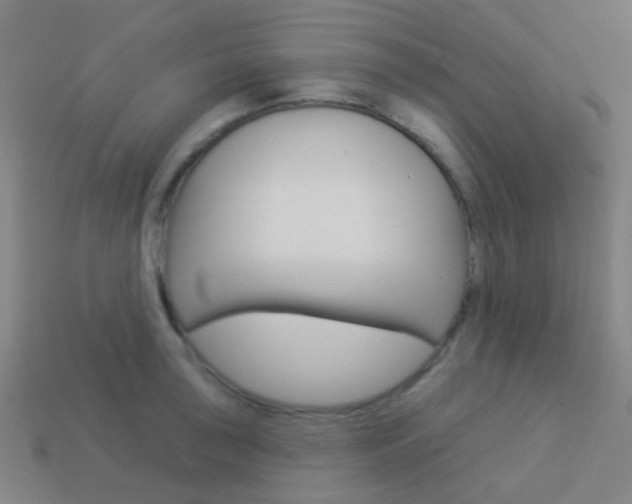 X0000114161043200910081129
