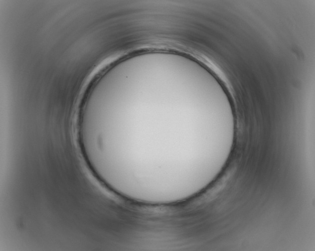 X0000114161045200910081130