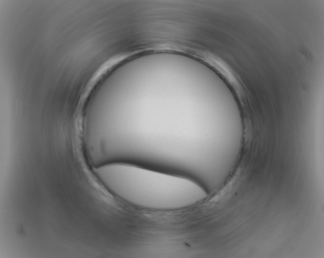 X0000114161048200910081130