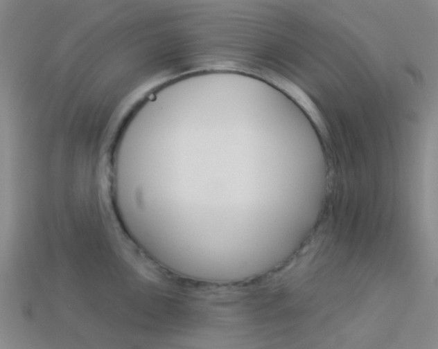 X0000114161051200910081130