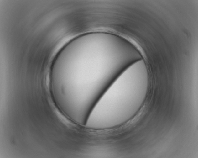X0000114161054200910081130