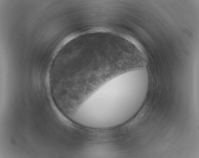 X0000114161055200910081130