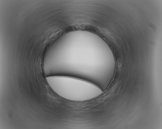 X0000114161060200910081129