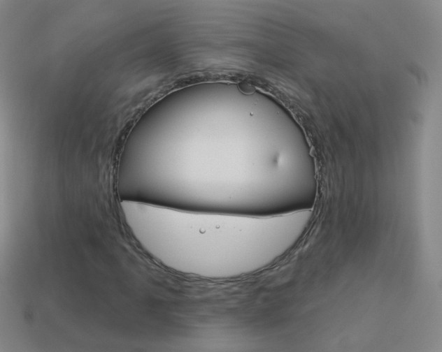X0000114161061200910081129
