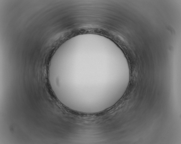 X0000114161062200910081129