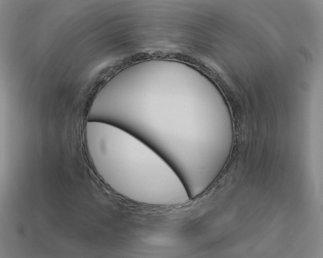X0000114161063200910081129