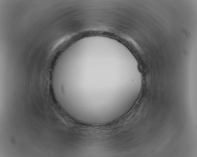 X0000114161064200910081129