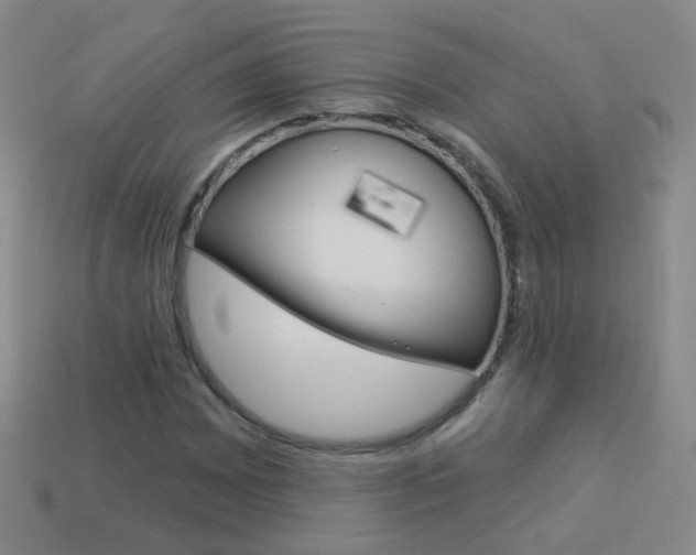 X0000114161065200910081129