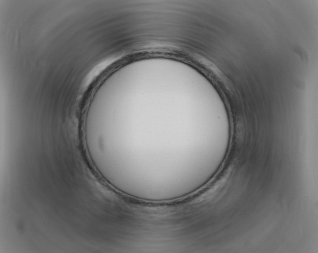 X0000114161066200910081129