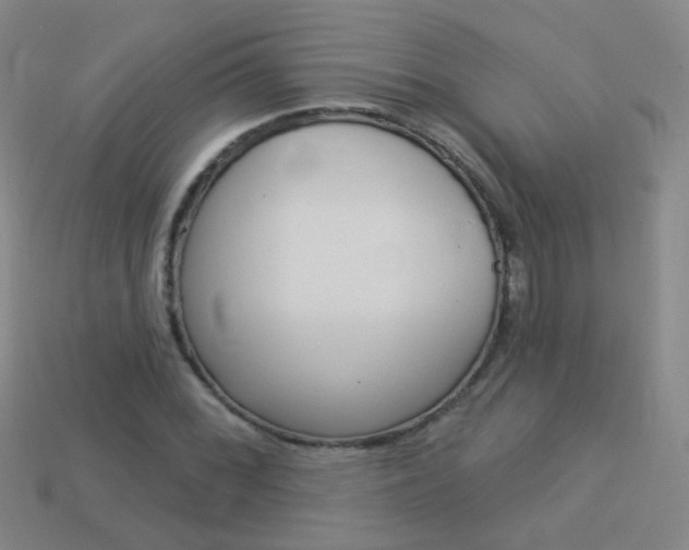 X0000114161068200910081129