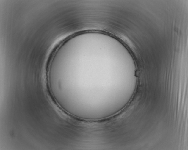 X0000114161072200910081129