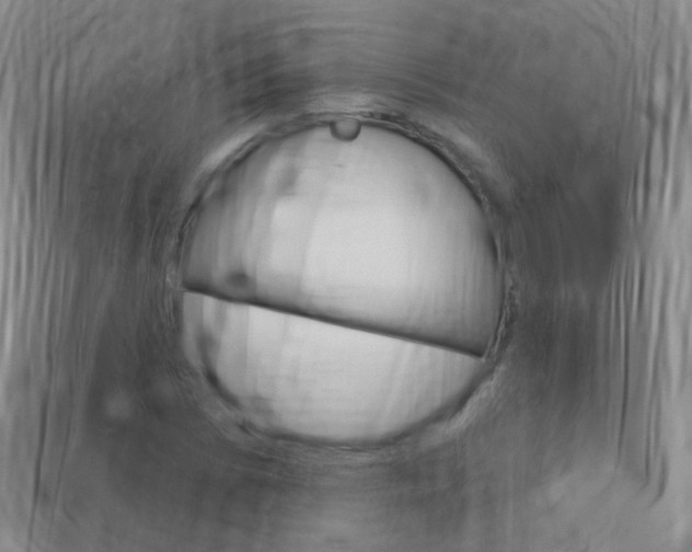X0000114161073200910081129