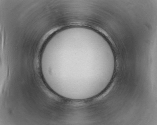 X0000114161074200910081129