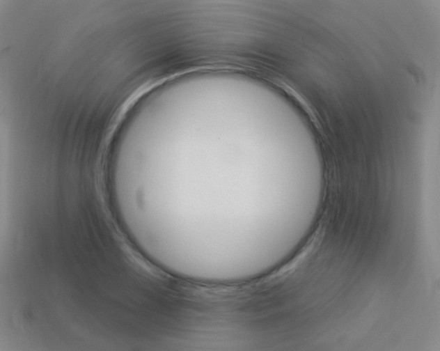 X0000114161075200910081129