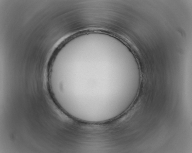 X0000114161076200910081129