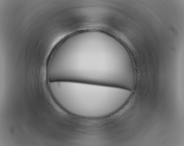 X0000114161079200910081129