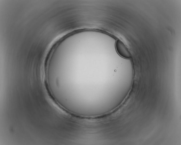 X0000114161080200910081129