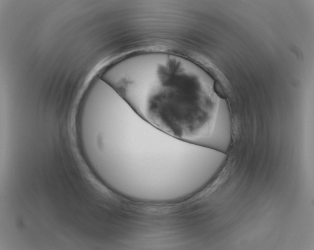 X0000114161083200910081129