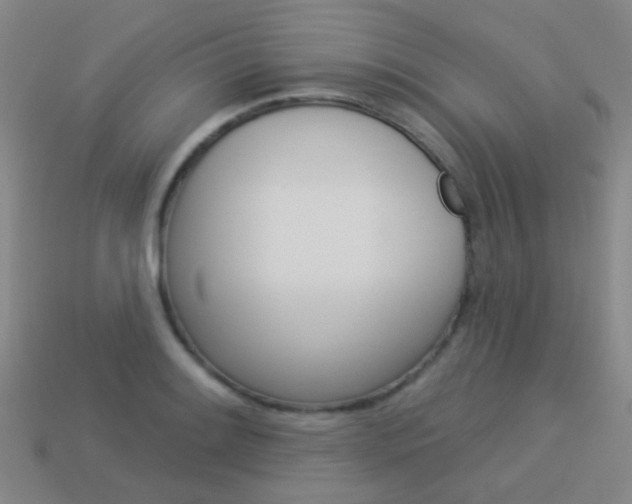 X0000114161084200910081129