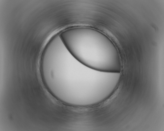 X0000114161085200910081128