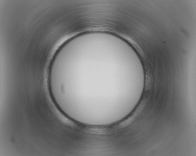 X0000114161086200910081128
