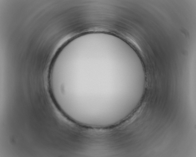 X0000114161087200910081128