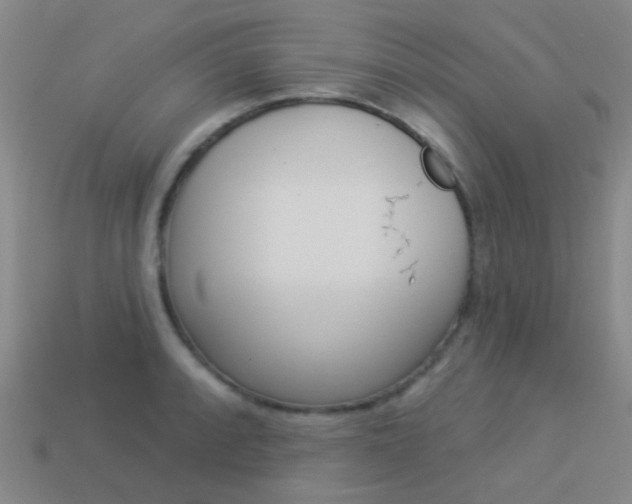 X0000114161088200910081128