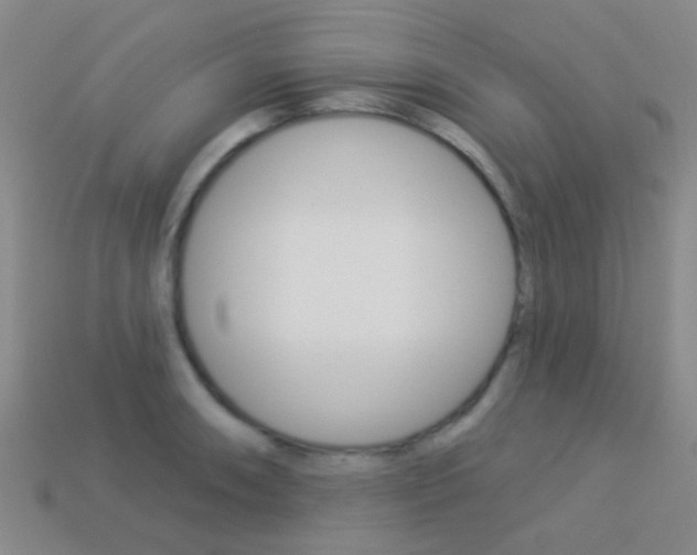 X0000114161090200910081128