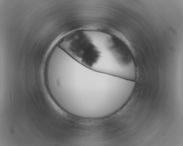 X0000114161091200910081128