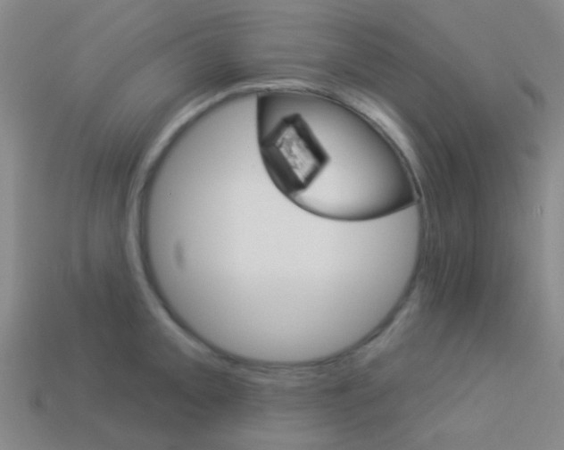 X0000114161093200910081128