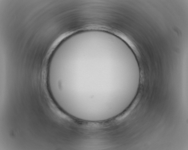 X0000114161094200910081128