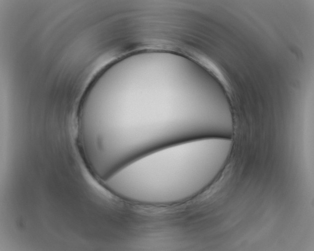 X0000114161095200910081128