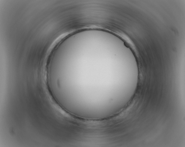 X0000114161096200910081128