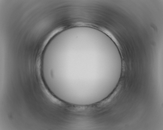 X0000114161098200910081128