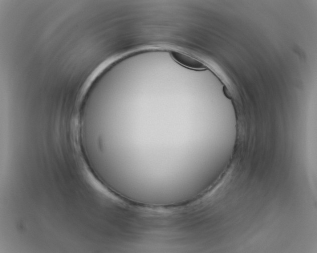 X0000114161100200910081128