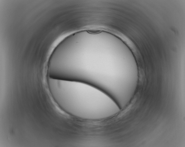 X0000114161102200910081128