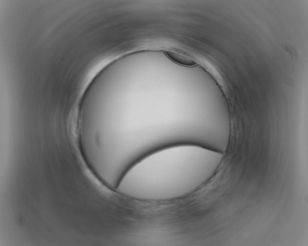 X0000114161103200910081128