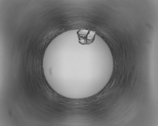 X0000114161108200910081127