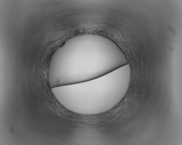 X0000114161109200910081128