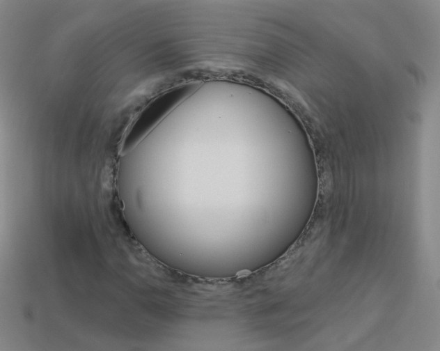 X0000114161110200910081128