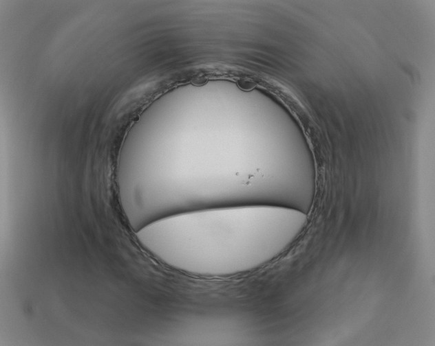 X0000114161111200910081128