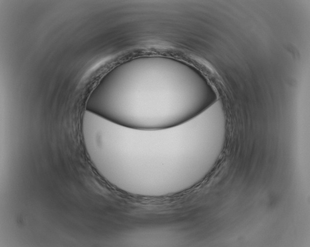X0000114161112200910081128