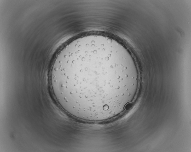 X0000114161113200910081128