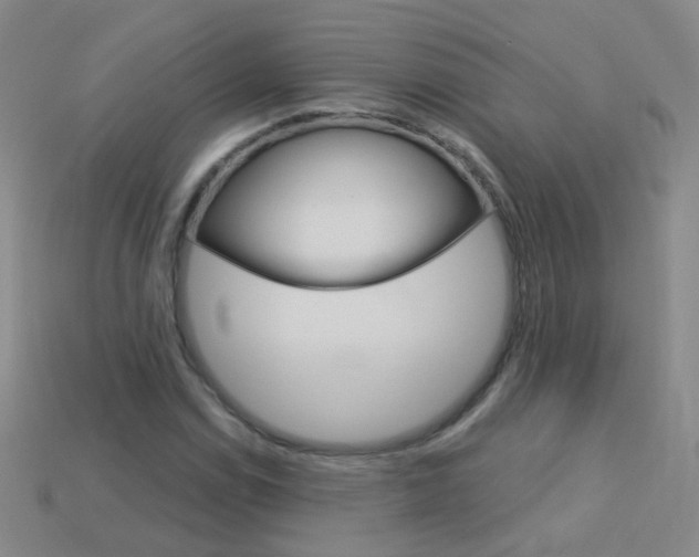 X0000114161114200910081128