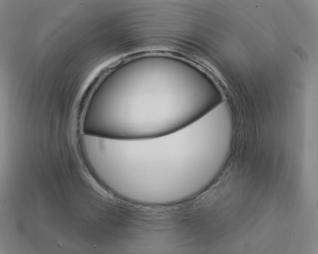 X0000114161116200910081128