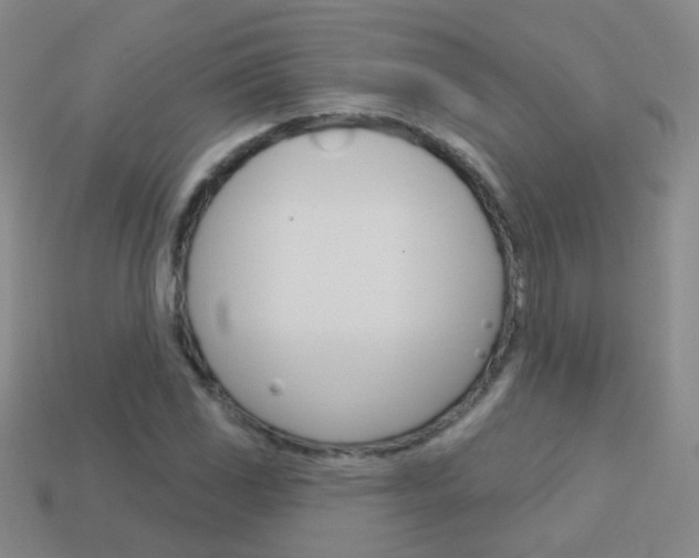 X0000114161117200910081128