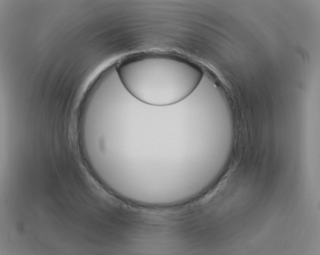 X0000114161118200910081128